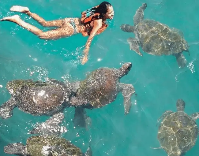 Full Day Beach Tour, Zorritos, Punta Sal, Mancora and the Ñuro